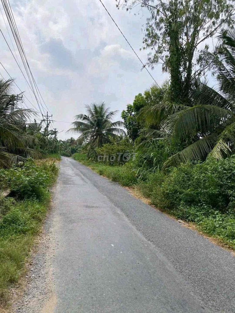 1780m2 đất Song Binh co đường đi giá bao.re.