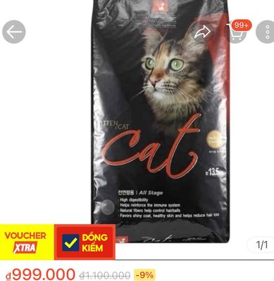 Hạt mèo hàn quốc CATEYES 13.5KG chính hã