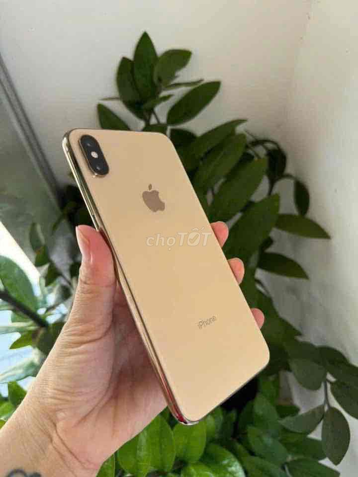 iphone Xs maxx 256g quoc te zin gull