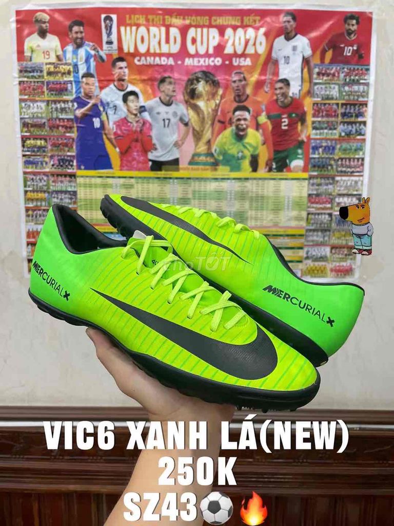 Giày đá bóng Nike MercurialX VIC6 Xanh lá 43. Mua bán Đồ thể thao, Dã ngoại tại Thành phố Móng Cái Quảng Ninh được đăng bởi hưng dz hình 1
