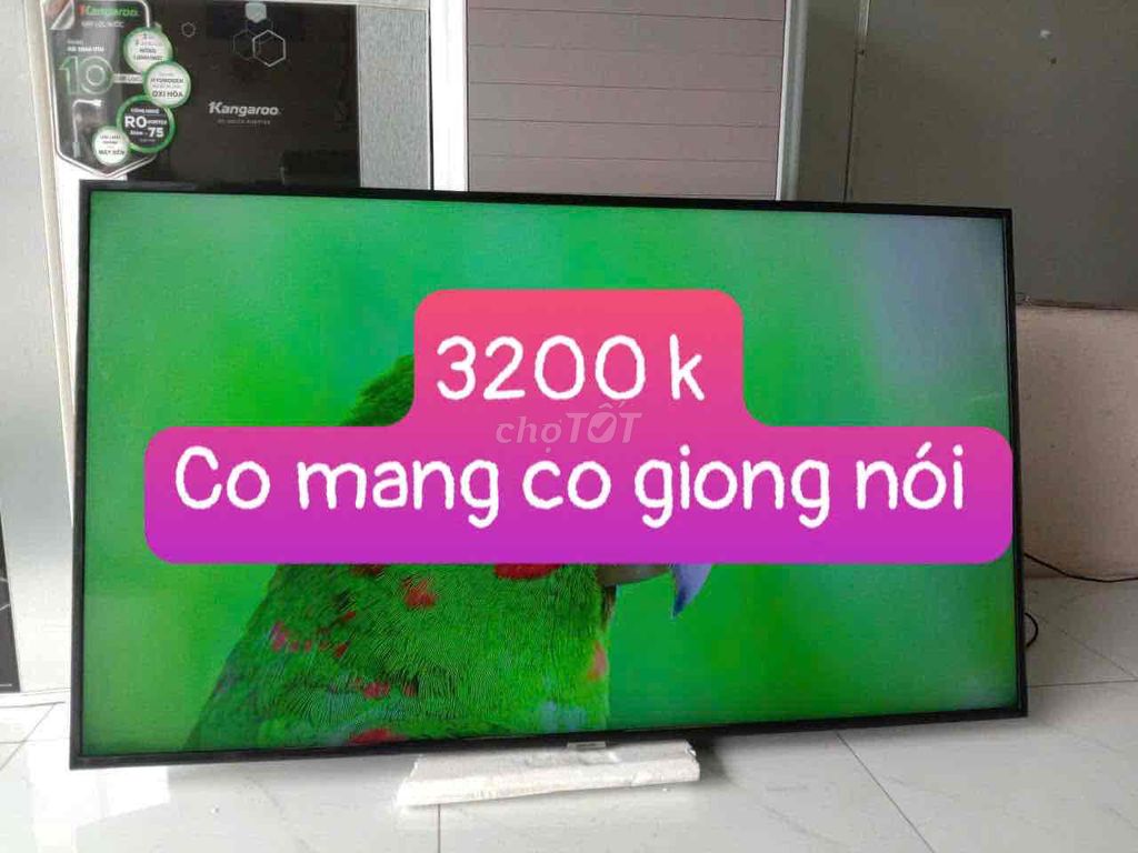 Tivi Sony 49 inch Điều khiển giọng nói. Mua bán Tivi, Âm thanh tại Thành phố Vĩnh Long Vĩnh Long được đăng bởi Tuyet Tuyet hình 1