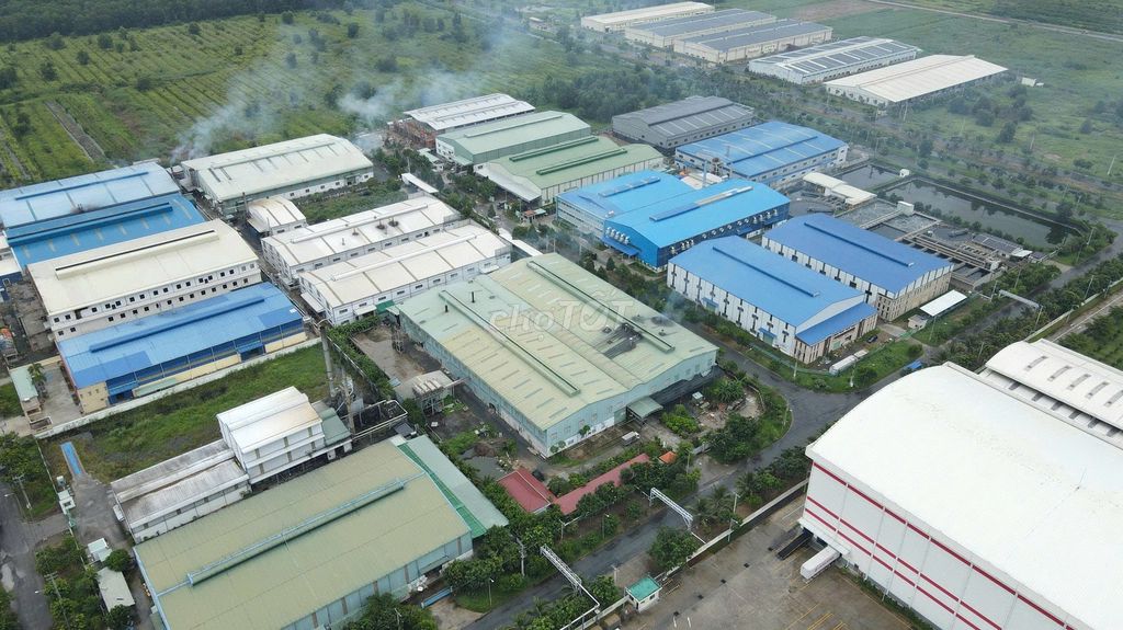 Cho Thuê Kho 1.900m² Tỉnh Lộ 10, Bình Tân – Khuôn Viên 5.000m²