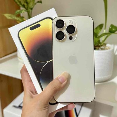 iPhone 14 Pro 128G GOLD NEW FULLBOX APPLE 3/2025. Mua bán Điện thoại tại Quận Hà Đông Hà Nội được đăng bởi iStock Hà Nội Zin Đẹp Chất