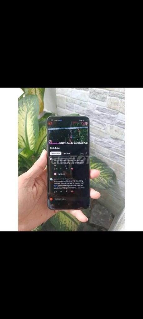 Oppo Reno5 128GB Hồng. Mua bán Điện thoại tại Quận 1 Tp Hồ Chí Minh được đăng bởi Tony Chung hình 1