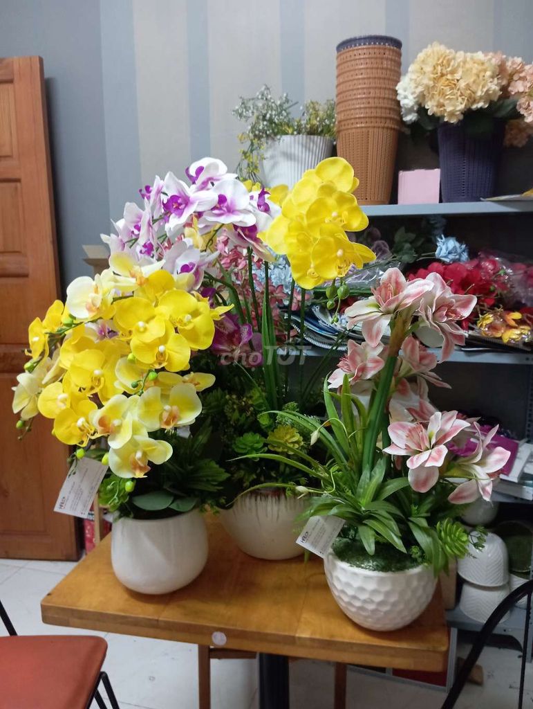 Xả toàn bộ đồ gốm sứ, hoa lụa, chậu cây