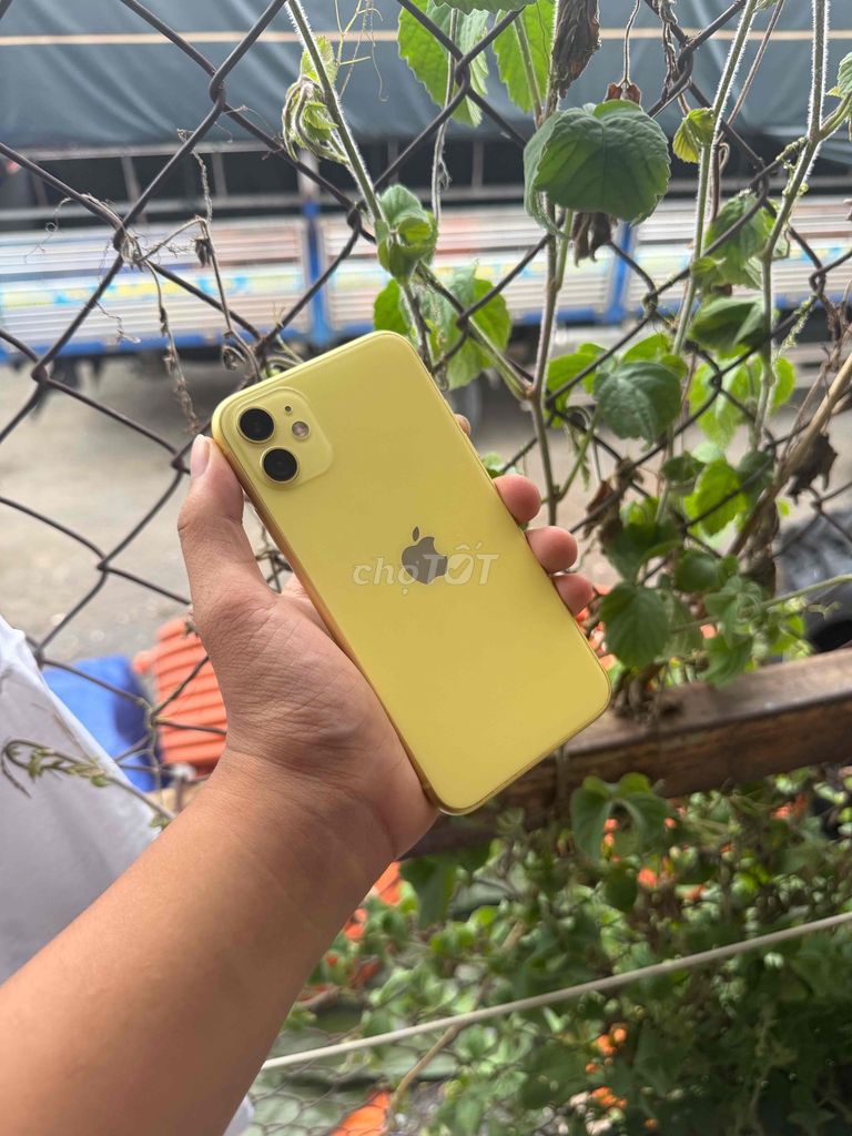 iPhone 11 256GB quốc tế zin fullcn. Mua bán Điện thoại tại Quận Bình Tân Tp Hồ Chí Minh được đăng bởi tmt hình 1
