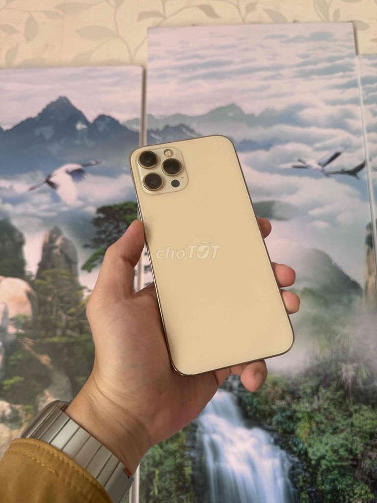 iPhone 12 Pro Max 256GB  Quốc tế  Full Chức Năng