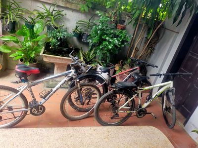 thanh lý cả 3. Mua bán Xe đạp tại Huyện Đông Anh Hà Nội được đăng bởi Nghiem Thu thuy