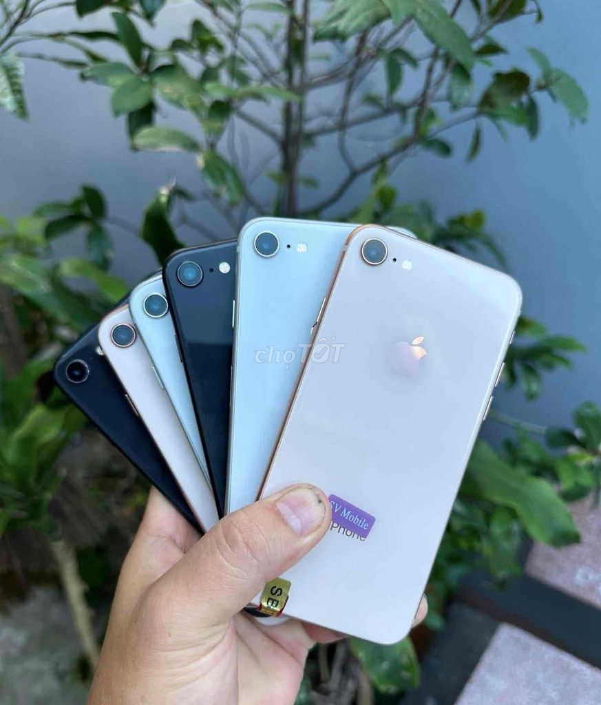 Apple iPhone 8 64GB Đen, Trắng, Vàng Đã sử dụng. Mua bán Điện thoại tại Thành phố Nha Trang Khánh Hòa được đăng bởi Ngọc Thắng Smartphone hình 1