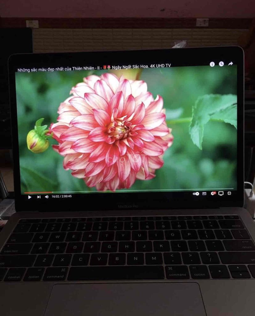 Macbook pro 2017 i5/ ram 8/ ssd 256/ 13.3 inch 2k
