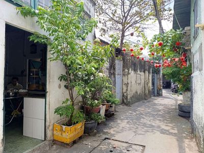 Anh tin