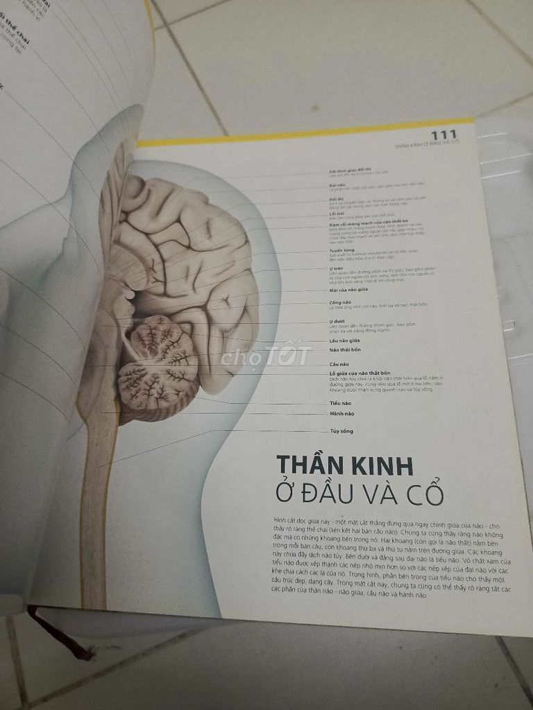 Atlas giải phẫu cơ thể người