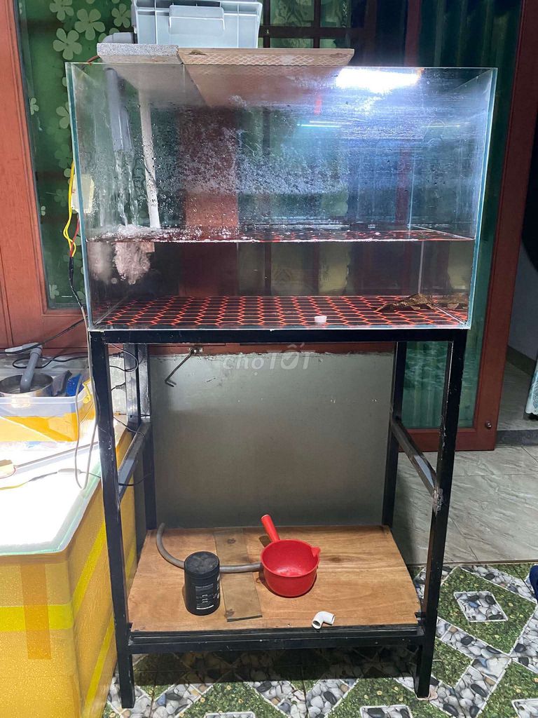 Bể cá cảnh Kính Sắt Gỗ 80x50x50cm. Mua bán Phụ kiện, Thức ăn, Dịch vụ tại Thị xã Phú Mỹ Bà Rịa - Vũng Tàu được đăng bởi Pets  hình 1