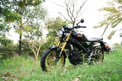 🥰😍YAMAHA XSR 155 2023 BẢN KỈ NIỆM 60TH SIU KEG