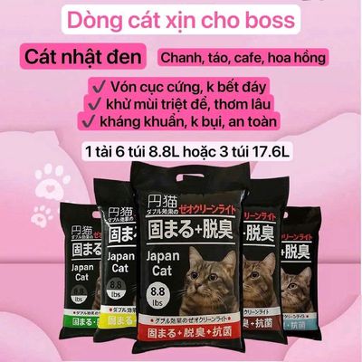 cát vệ sinh vón cứng và thức ăn cho mèo
