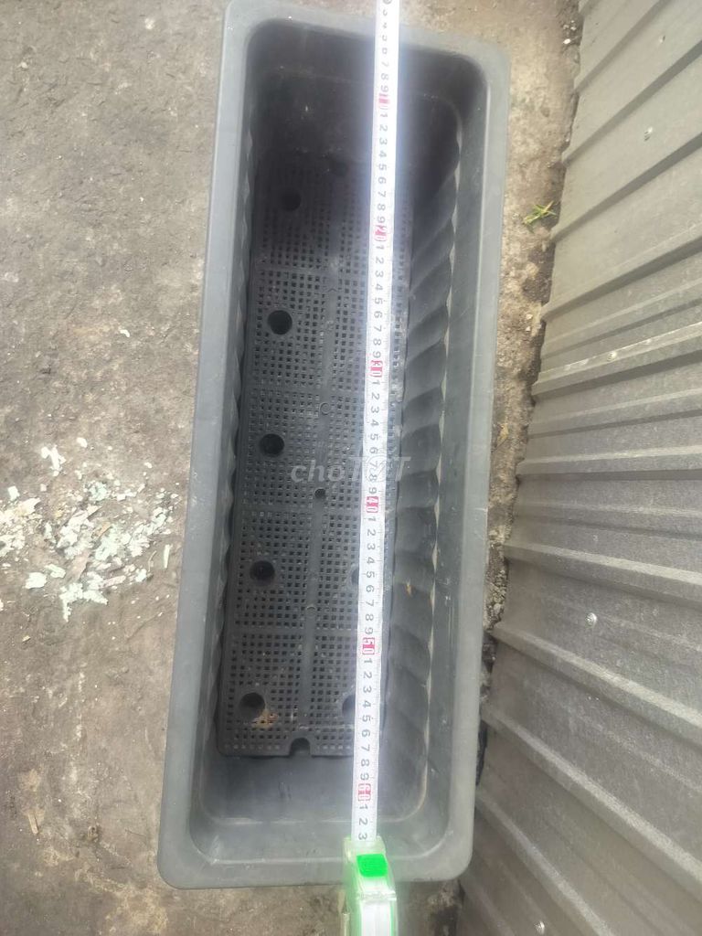 2 Khay trồng 60cm, 1 khay 45cm. Mua bán Cây cảnh, đồ trang trí tại Quận 4 Tp Hồ Chí Minh được đăng bởi Ngọc hình 1