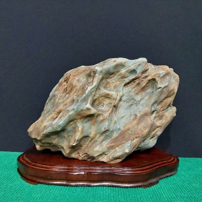 Đá cảnh về cội cao 20cm. Mua bán Đồ sưu tầm, đồ cổ tại Quận Hải Châu Đà Nẵng được đăng bởi Trần Xuân Dương