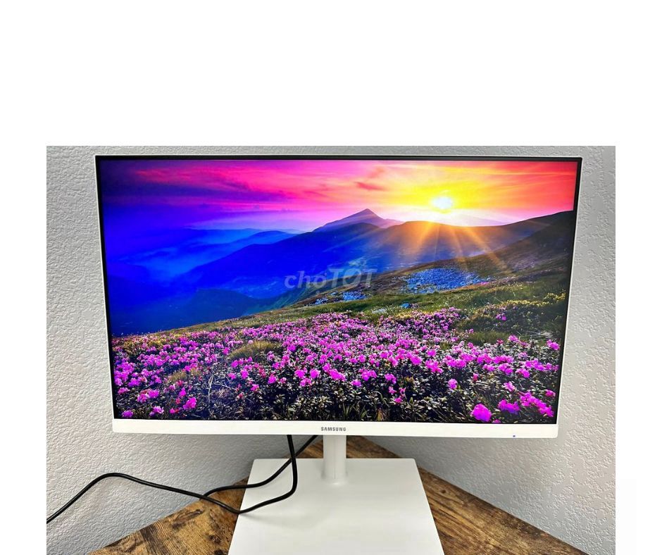 Màn Samsung 24" 2k có usb-c dòng cao cấp nhà sam