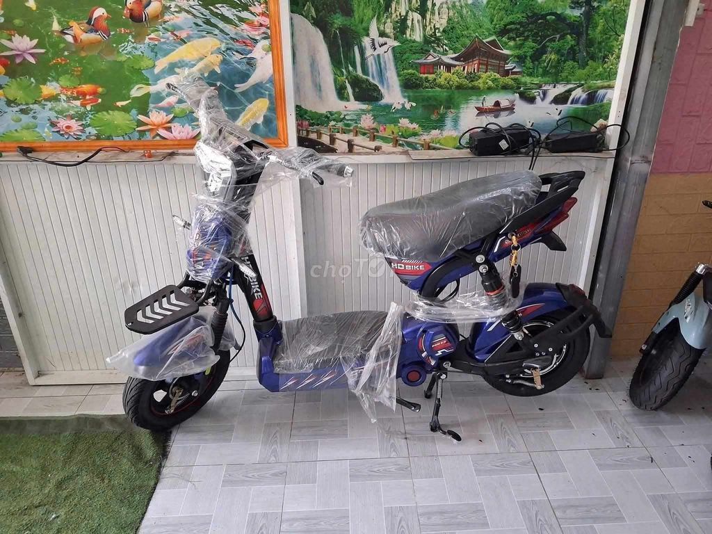 Xe đạp điện Mới 100%. Mua bán Xe điện tại Thành phố Biên Hòa Đồng Nai được đăng bởi Xe Điện Duy Thành hình 1