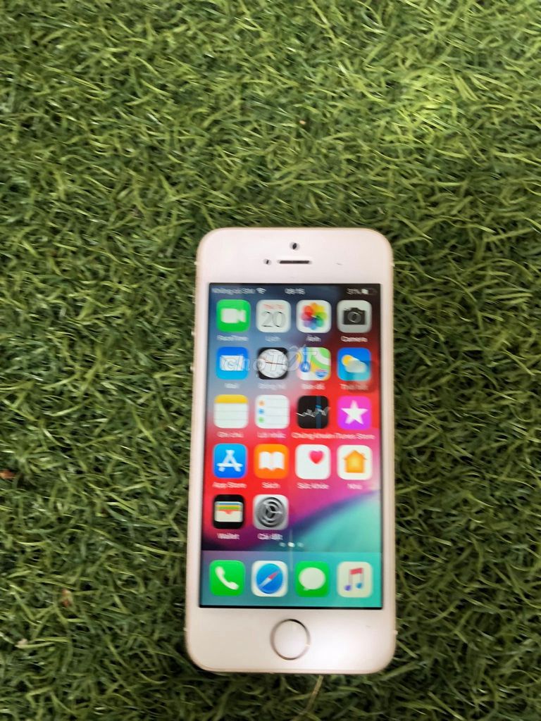 Apple iPhone 5S 16GB vàng Đã sử dụng. Mua bán Điện thoại tại Quận 11 Tp Hồ Chí Minh được đăng bởi phong hình 1