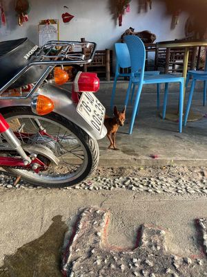 bán xe. Mua bán Xe máy tại Thị xã Sông Cầu Phú Yên được đăng bởi Quý