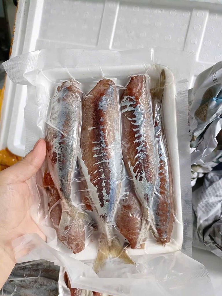Cá nục một nắng lột da 12-14 con/ký. Mua bán Đồ ăn, thực phẩm và các loại khác tại Quận Phú Nhuận Tp Hồ Chí Minh được đăng bởi Hà Nhi Cao hình 1