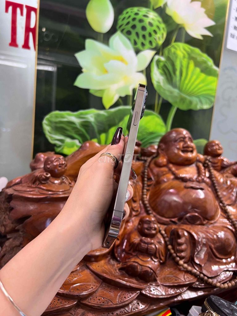 GÓP NỢ XẤU KO CÀI ICLOUD 13PMAX 128GB MÁY 99%. Mua bán Điện thoại tại Quận Tân Phú Tp Hồ Chí Minh được đăng bởi MỸ MỸ MUA BÁN VÀ TRAO Đổi          hình 3