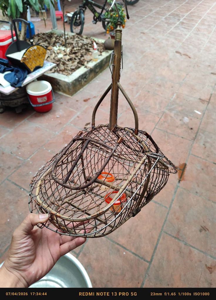 Lồng bẫy chim tre đồng đã sử dụng. Mua bán Phụ kiện, Thức ăn, Dịch vụ tại Huyện Hoài Đức Hà Nội được đăng bởi Tạ Công Tuyến hình 1