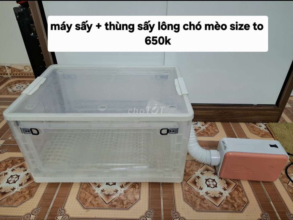 Máy sấy lông thú cưng Nhựa Trắng Cam Size To. Mua bán Phụ kiện, Thức ăn, Dịch vụ tại Quận Đống Đa Hà Nội được đăng bởi abcxyz hình 1