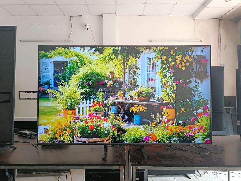 Tivi Samsung 55Q65AAK 2023. Mua bán Tivi, Âm thanh tại Quận Cẩm Lệ Đà Nẵng được đăng bởi Nguyễn Thị Ngọc hình 1