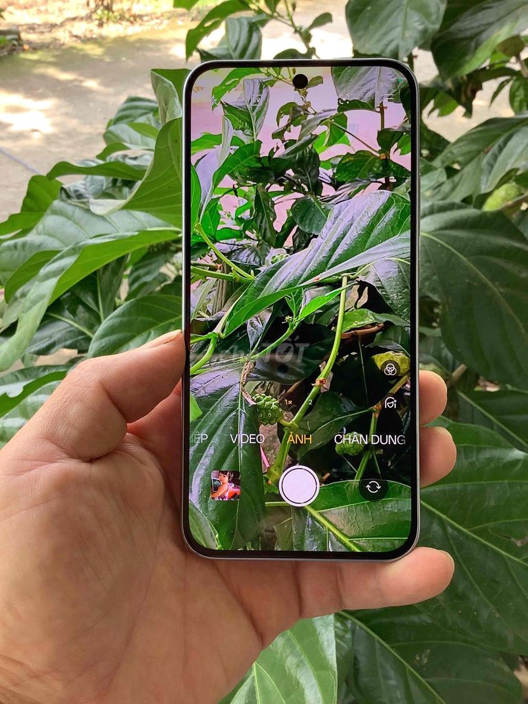 Oppo A6 Pro. Mua bán Điện thoại tại Huyện Tân Hiệp Kiên Giang được đăng bởi phuong hình 1