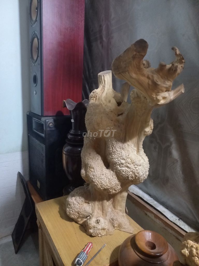 Nụ cà phê Gỗ trên 30 năm. Mua bán Đồ sưu tầm, đồ cổ tại Thành phố Gia Nghĩa Đắk Nông được đăng bởi Hơn Đinh hình 1