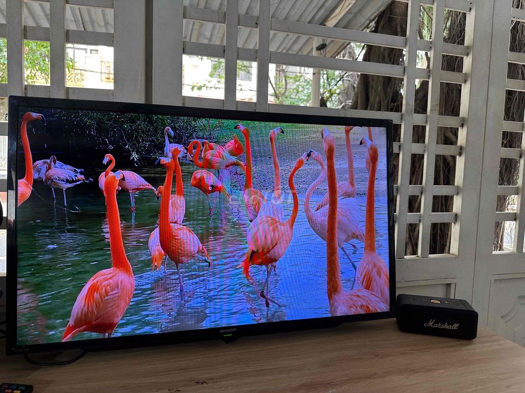 Tivi Sharp 32 inch đã sử dụng. Mua bán Tivi, Âm thanh tại Thành phố Thủ Đức Tp Hồ Chí Minh được đăng bởi Nam hình 1