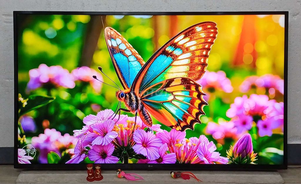 Tivi wifi LG 55 inch 4K có chuột bay giọng nói. Mua bán Tivi, Âm thanh tại Quận Ninh Kiều Cần Thơ được đăng bởi Luật Nguyễn hình 1