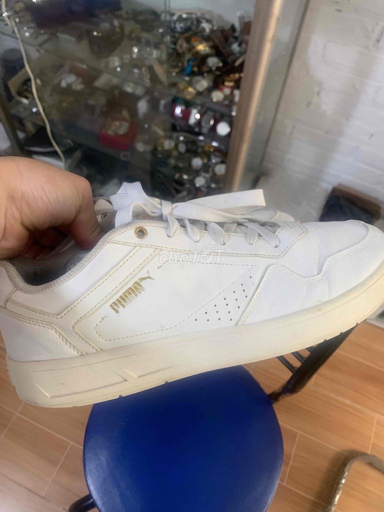 Giày thể thao Puma Unisex Trắng size 43. Mua bán Giày dép tại Quận Hà Đông Hà Nội được đăng bởi Watch Shop 1986 hình 1