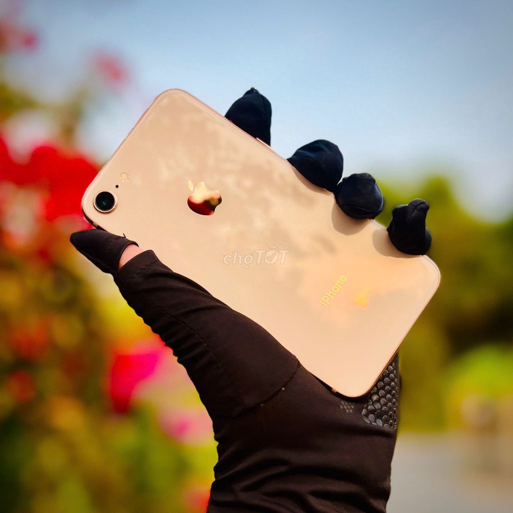 iPhone 8 64GB Quốc tế BH 3 tháng. Mua bán Điện thoại tại Thành phố Bến Tre Bến Tre được đăng bởi TN Store hình 1