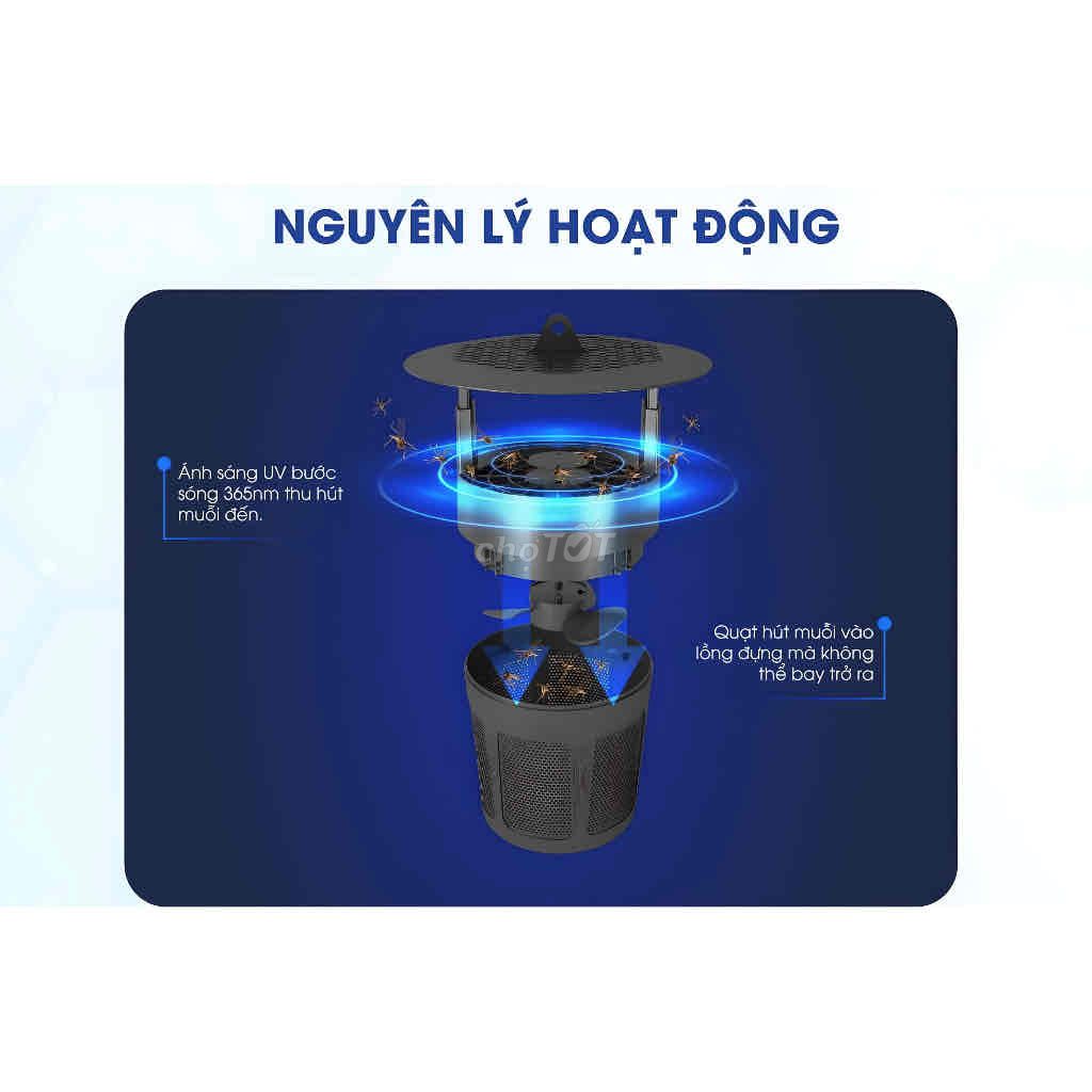 ĐÈN BẮT MUỖI RẠNG ĐÔNG DBM01