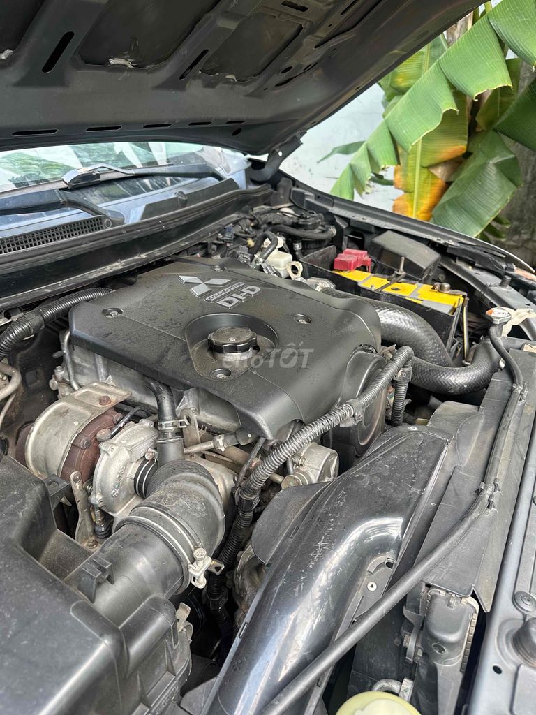 Ảnh số 6