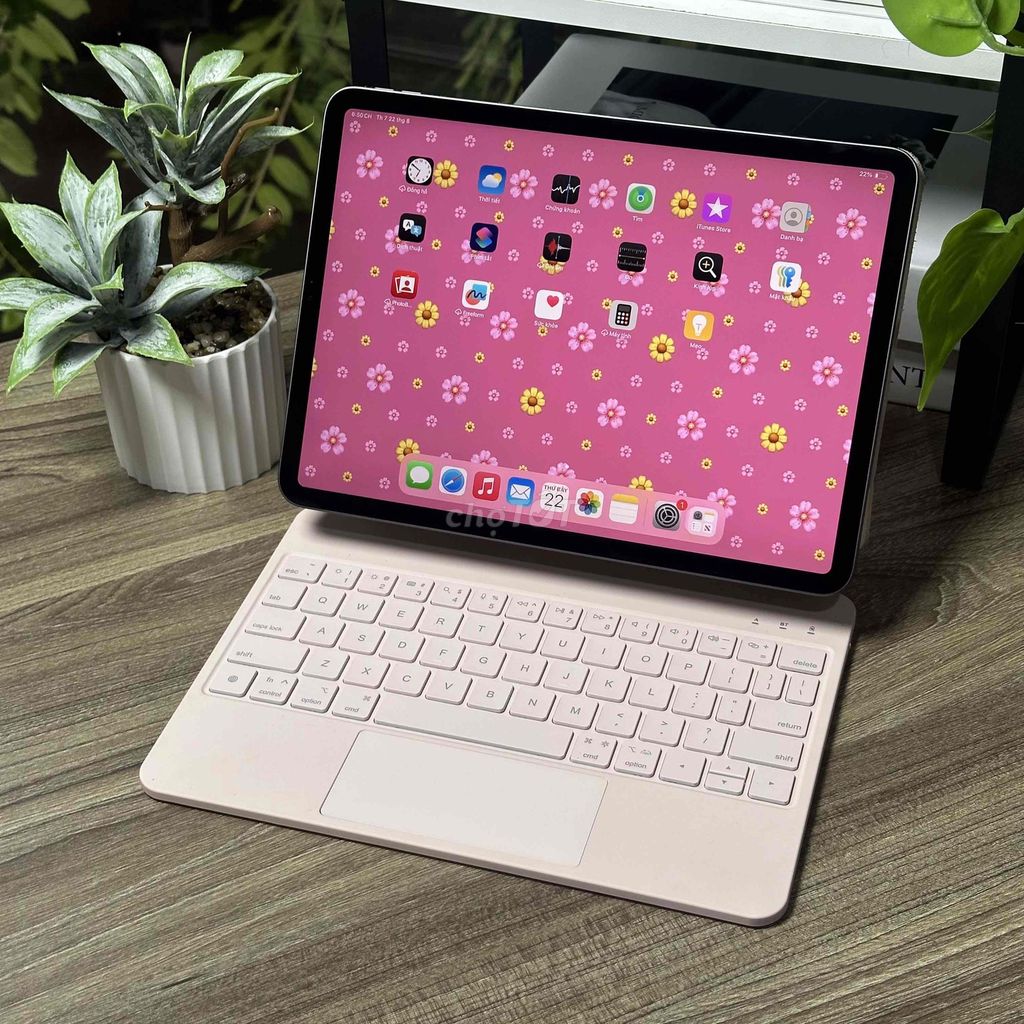 iPad Pro M1 11 Wifi Xám 256GB tặng kèm phím hồng 🙆‍♀️. Mua bán Máy tính bảng tại Quận 10 Tp Hồ Chí Minh được đăng bởi Minh Nguyệt hình 1