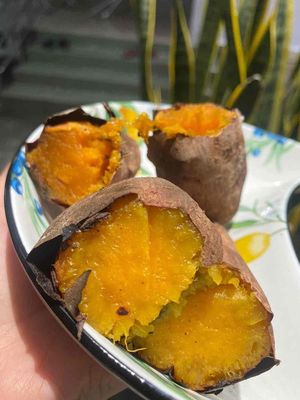 COMBO 3 KÍ KHOAI LANG MẬT SỐNG TÀ NUNG ĐÀ LẠT. Mua bán Đồ ăn, thực phẩm và các loại khác tại Thành phố Bến Tre Bến Tre được đăng bởi Thu Huyen