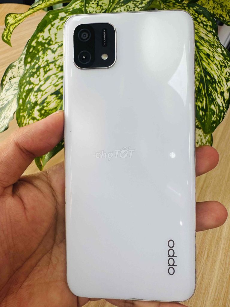 Oppo A16K Trắng zin. Mua bán Điện thoại tại Thành phố Biên Hòa Đồng Nai được đăng bởi Thang Tran hình 1