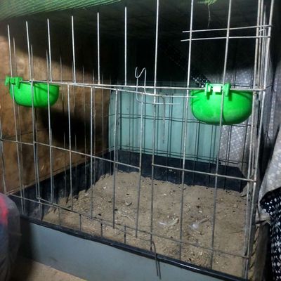 Chuồng gà tre. Mua bán Gà tại Quận Bình Tân Tp Hồ Chí Minh được đăng bởi Tâm Lê phước