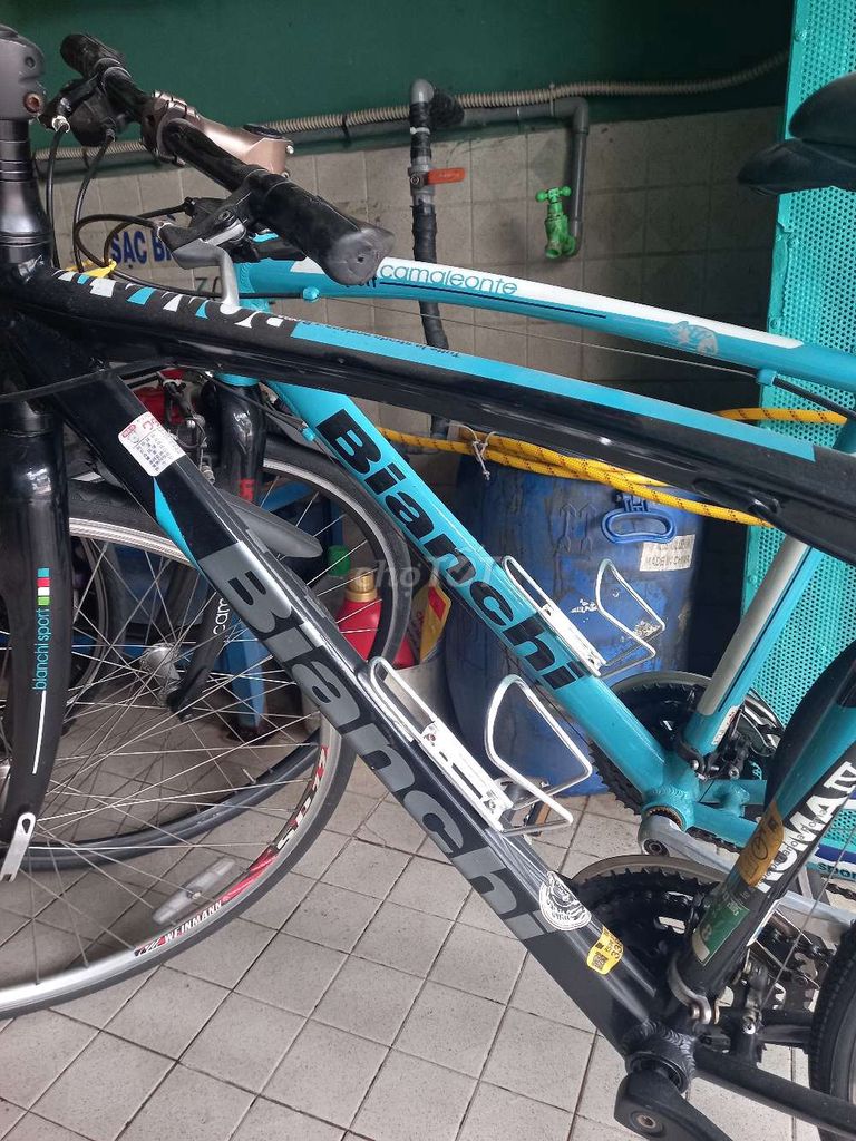 Ban 2 xe đap bianchi italia suon nhom banh 700