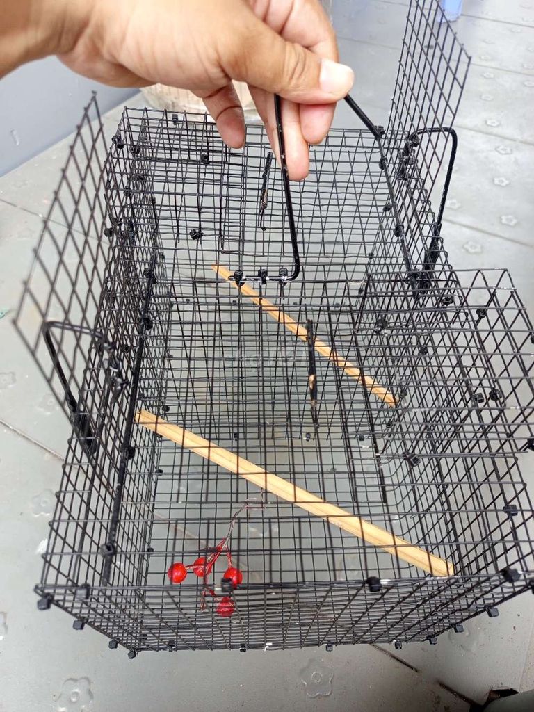 Lồng bẫy chim nhỏ kim loại Đen. Mua bán Phụ kiện, Thức ăn, Dịch vụ tại Quận 8 Tp Hồ Chí Minh được đăng bởi aloo hình 1