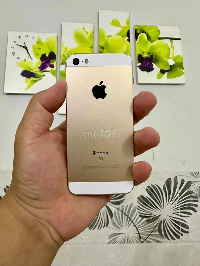 Apple iPhone 5SE 16GB Vàng Đã qua sử dụng. Mua bán Điện thoại tại Thành phố Thủ Dầu Một Bình Dương được đăng bởi Đăng Store hình 1