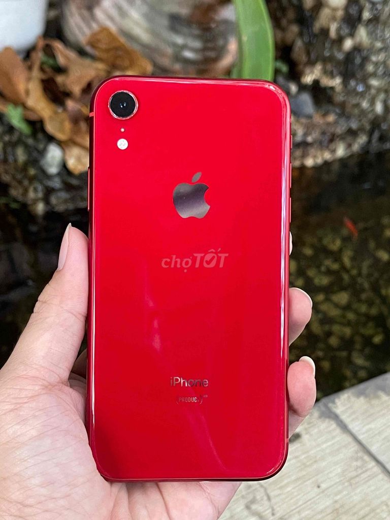 IPhone XR 64GB Zin ful CN, Pin 100, đẹp 99%. Mua bán Điện thoại tại Thành phố Thủ Đức Tp Hồ Chí Minh được đăng bởi SV APPLE hình 1