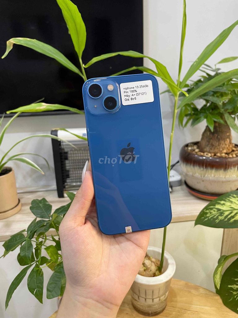 Apple iPhone 13 256GB (Blue) máy đẹp 99%. Mua bán Điện thoại tại Huyện Hóc Môn Tp Hồ Chí Minh được đăng bởi Luân Hoài hình 1