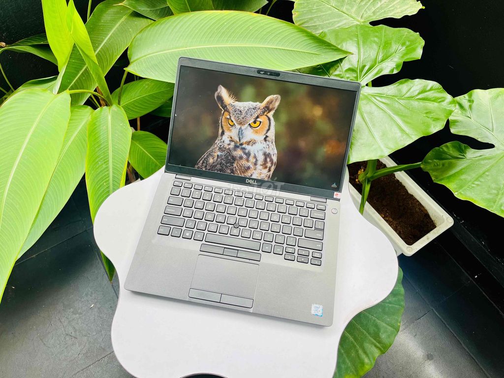 Dell Latitude 5400 i5-8265U 14 inch 8GB/256GB. Mua bán Laptop tại Quận Lê Chân Hải Phòng được đăng bởi Nguyễn Hải Duy hình 1
