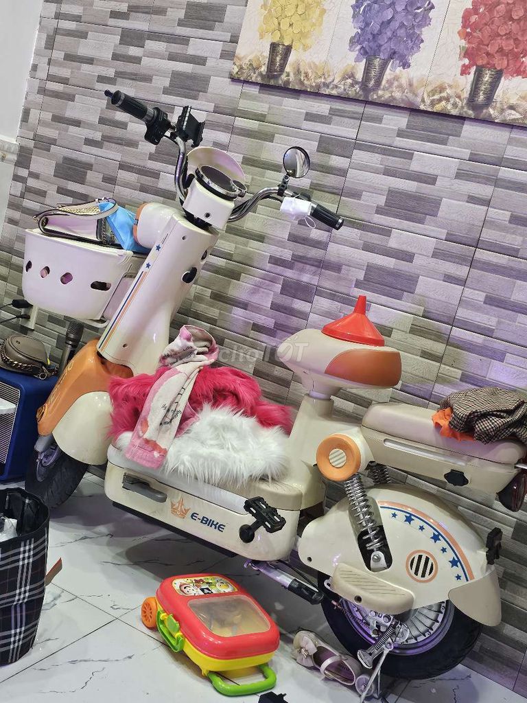 Xe đạp điện. Mua bán Xe điện tại Quận Tân Bình Tp Hồ Chí Minh được đăng bởi Trương Bảo hình 1