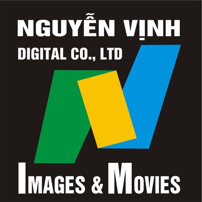 Công ty TNHH Hình ảnh Kỹ thuật số Nguyễn Vịnh logo